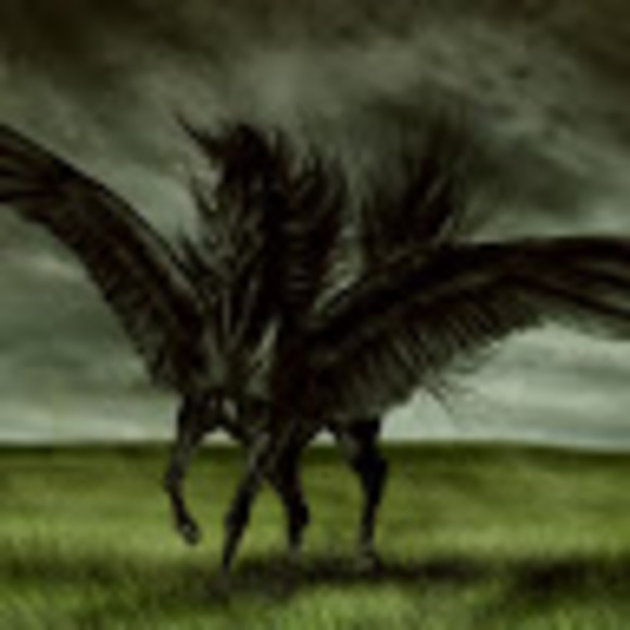pvfinnegan